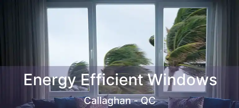  Energy Efficient Windows Callaghan - QC