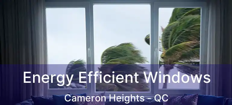  Energy Efficient Windows Cameron Heights - QC