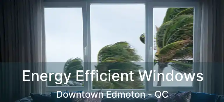  Energy Efficient Windows Downtown Edmoton - QC