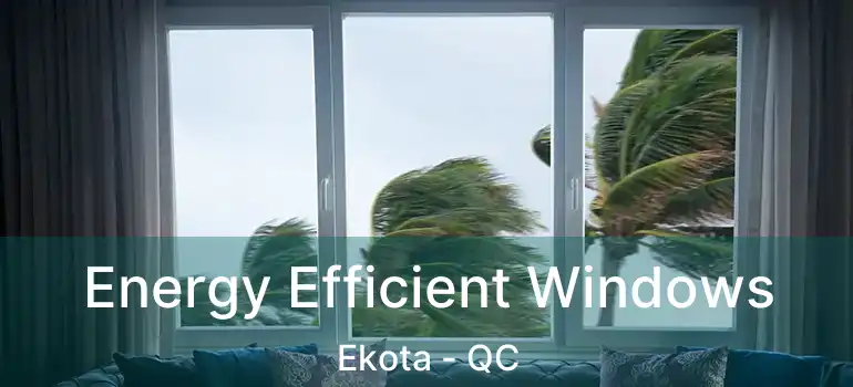  Energy Efficient Windows Ekota - QC