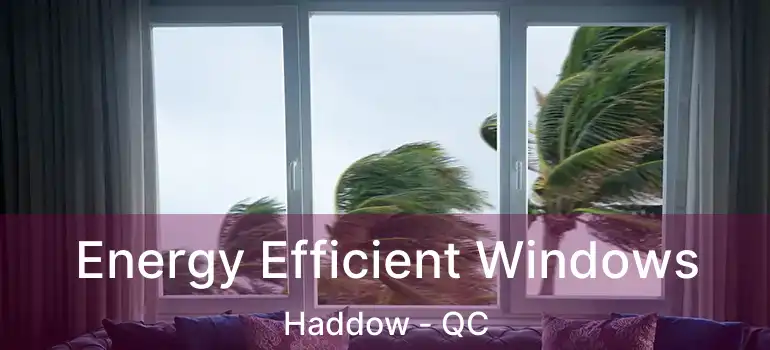  Energy Efficient Windows Haddow - QC