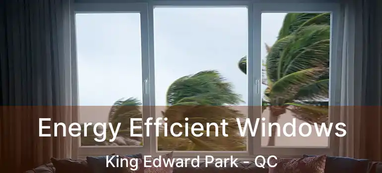  Energy Efficient Windows King Edward Park - QC