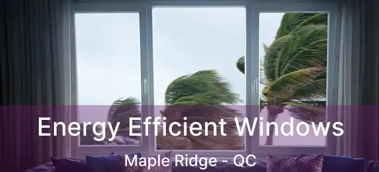  Energy Efficient Windows Maple Ridge - QC