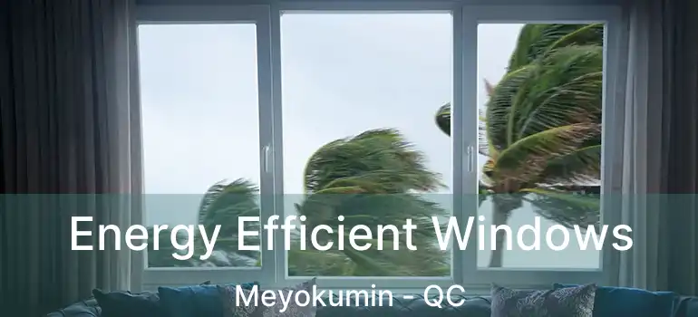  Energy Efficient Windows Meyokumin - QC