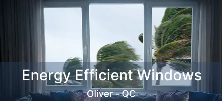  Energy Efficient Windows Oliver - QC