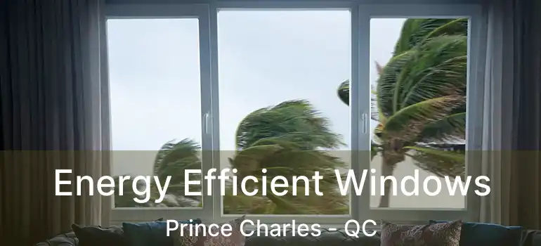 Energy Efficient Windows Prince Charles - QC