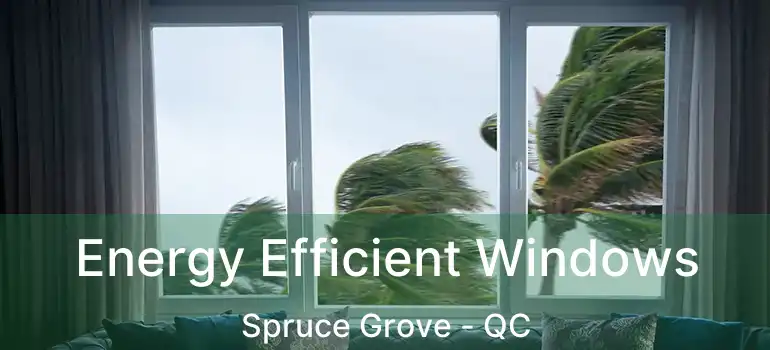  Energy Efficient Windows Spruce Grove - QC