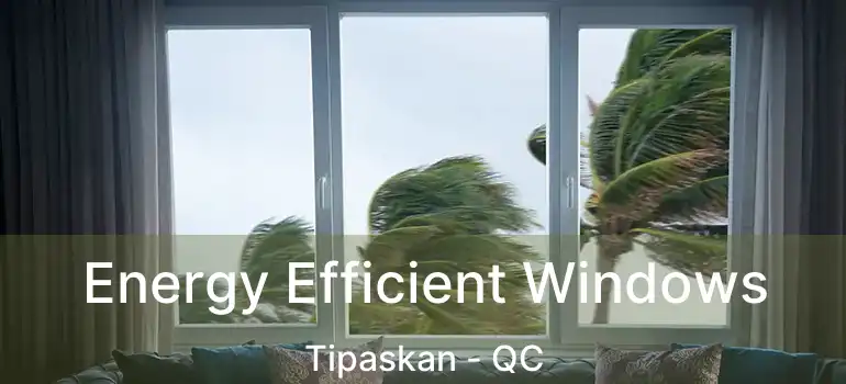  Energy Efficient Windows Tipaskan - QC