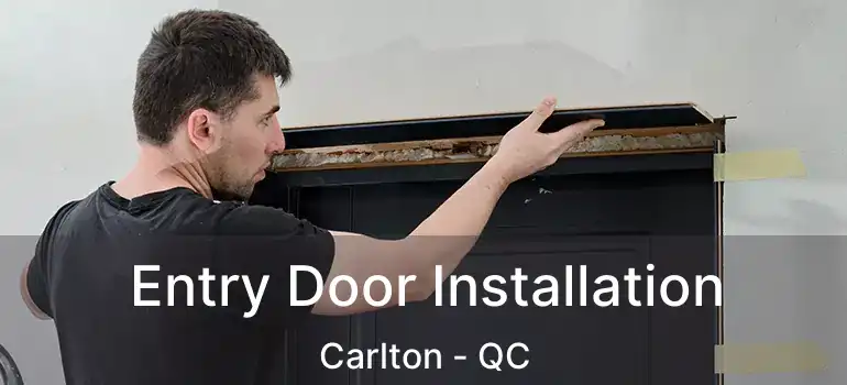  Entry Door Installation Carlton - QC