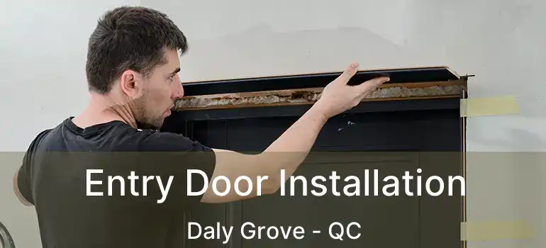  Entry Door Installation Daly Grove - QC