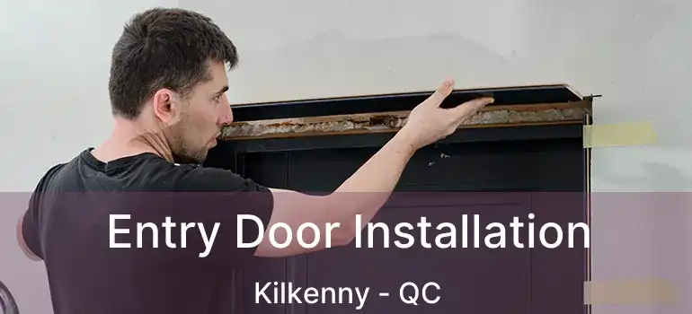  Entry Door Installation Kilkenny - QC