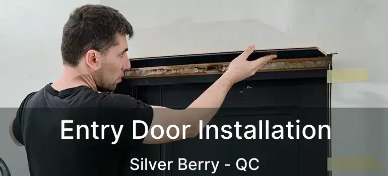  Entry Door Installation Silver Berry - QC