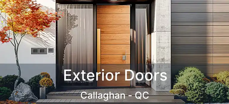  Exterior Doors Callaghan - QC