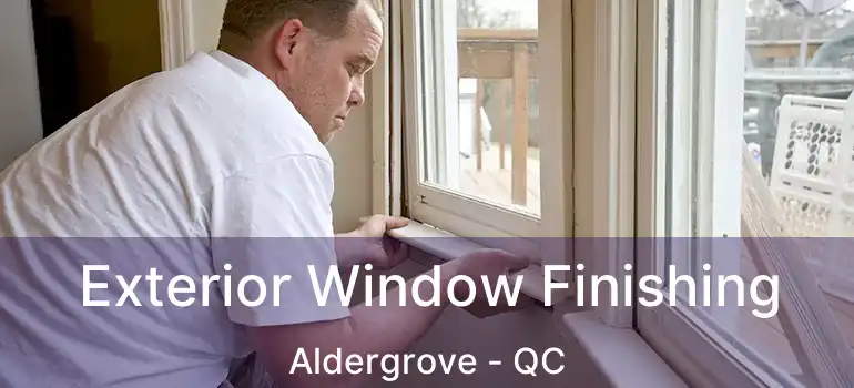  Exterior Window Finishing Aldergrove - QC