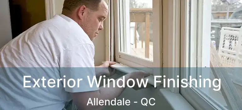  Exterior Window Finishing Allendale - QC