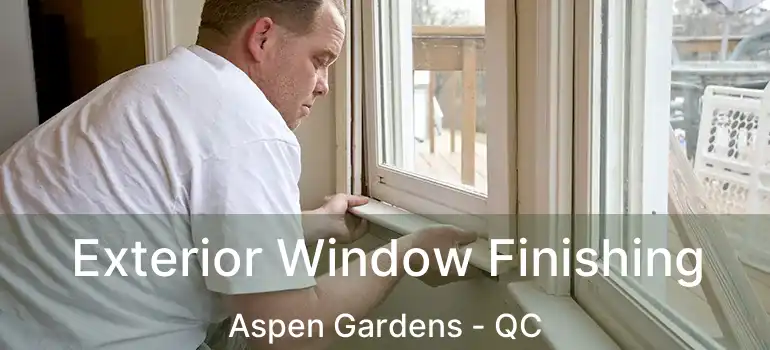  Exterior Window Finishing Aspen Gardens - QC
