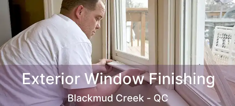  Exterior Window Finishing Blackmud Creek - QC