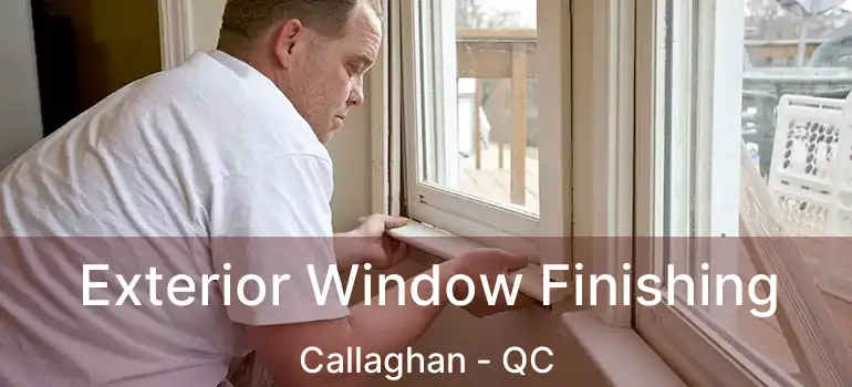  Exterior Window Finishing Callaghan - QC