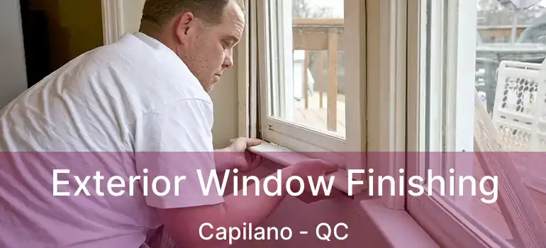  Exterior Window Finishing Capilano - QC