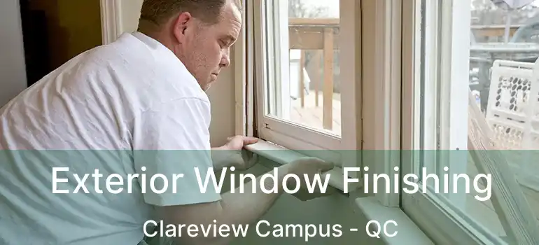  Exterior Window Finishing Clareview Campus - QC