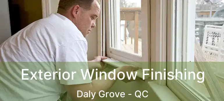  Exterior Window Finishing Daly Grove - QC