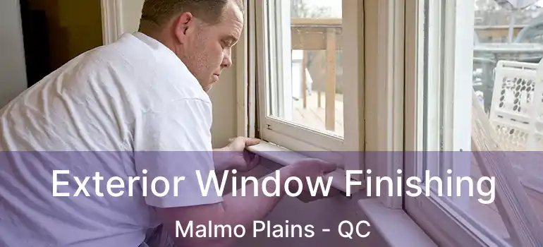  Exterior Window Finishing Malmo Plains - QC