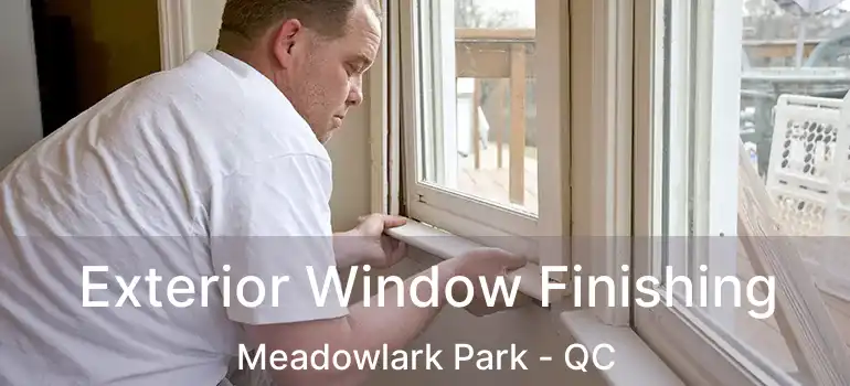  Exterior Window Finishing Meadowlark Park - QC