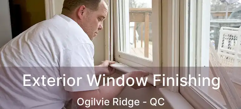  Exterior Window Finishing Ogilvie Ridge - QC