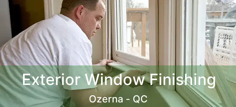  Exterior Window Finishing Ozerna - QC