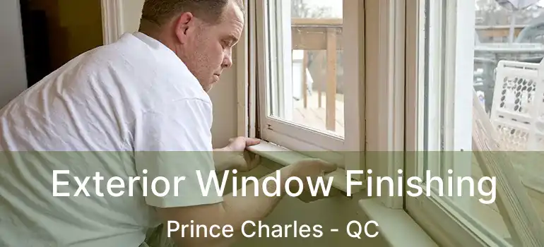  Exterior Window Finishing Prince Charles - QC