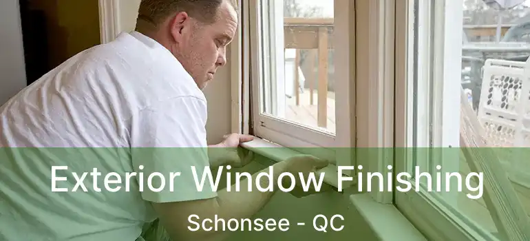  Exterior Window Finishing Schonsee - QC
