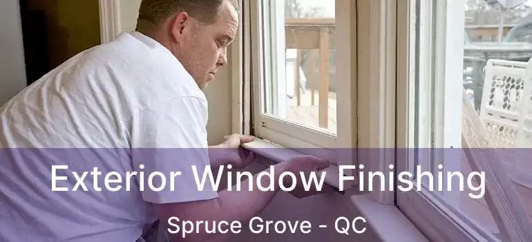  Exterior Window Finishing Spruce Grove - QC