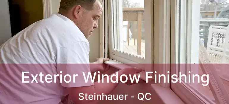  Exterior Window Finishing Steinhauer - QC