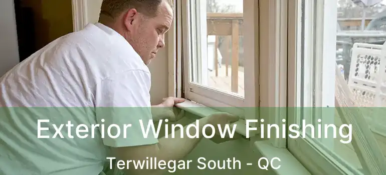  Exterior Window Finishing Terwillegar South - QC
