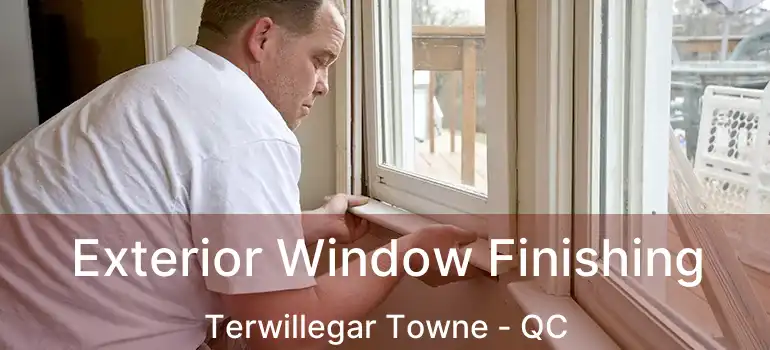  Exterior Window Finishing Terwillegar Towne - QC