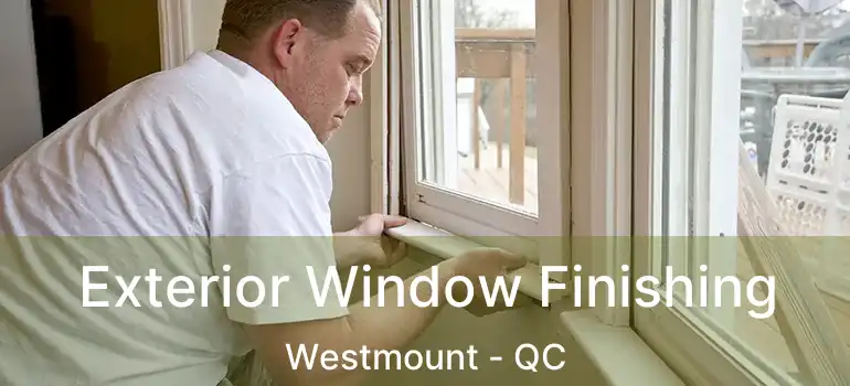  Exterior Window Finishing Westmount - QC