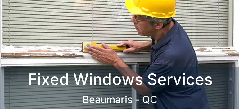 Fixed Windows Services Beaumaris - QC