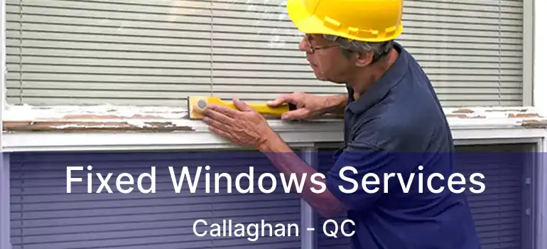  Fixed Windows Services Callaghan - QC