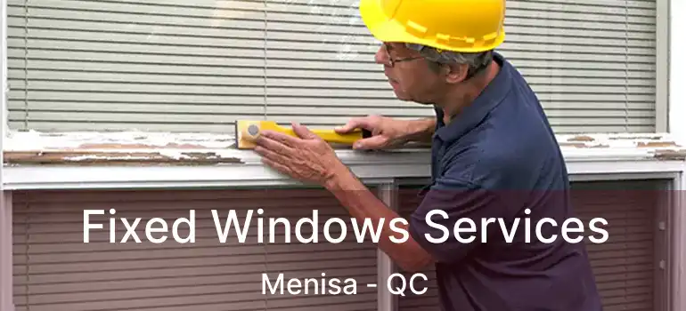 Fixed Windows Services Menisa - QC