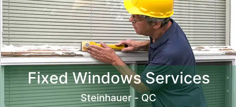  Fixed Windows Services Steinhauer - QC