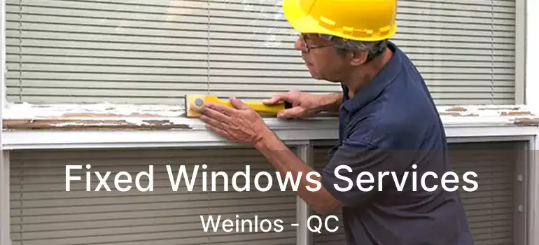  Fixed Windows Services Weinlos - QC