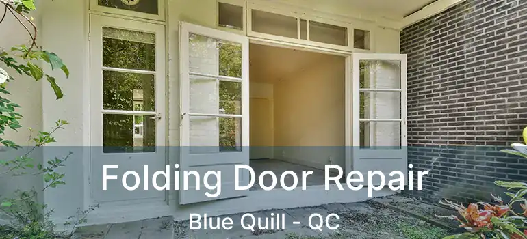  Folding Door Repair Blue Quill - QC