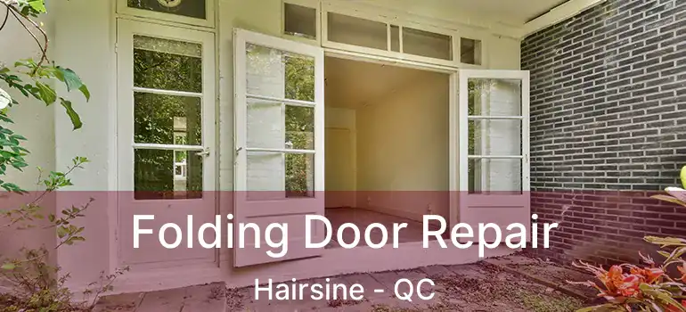  Folding Door Repair Hairsine - QC