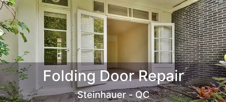  Folding Door Repair Steinhauer - QC