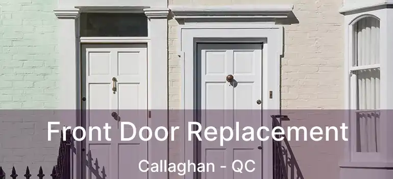  Front Door Replacement Callaghan - QC