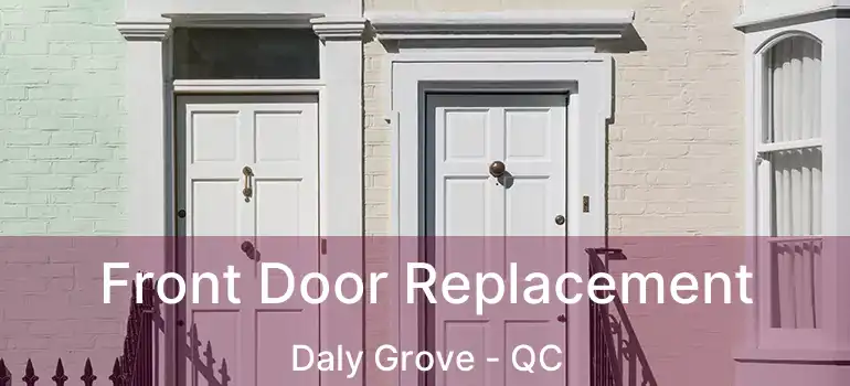  Front Door Replacement Daly Grove - QC