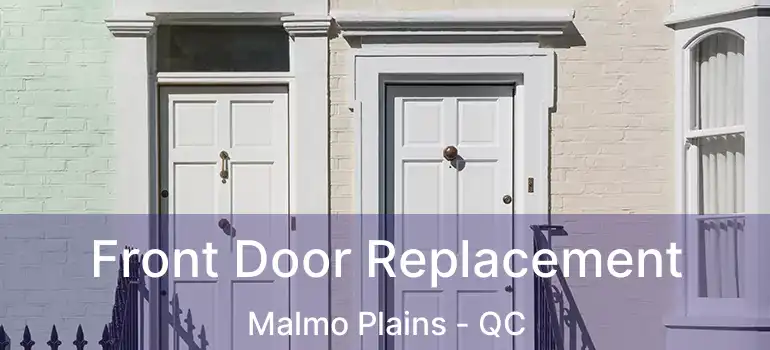  Front Door Replacement Malmo Plains - QC