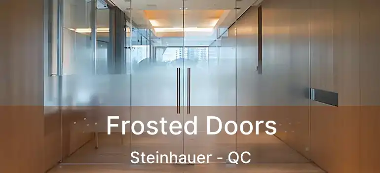  Frosted Doors Steinhauer - QC