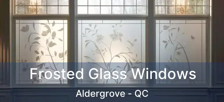  Frosted Glass Windows Aldergrove - QC