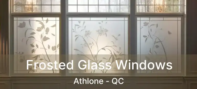  Frosted Glass Windows Athlone - QC